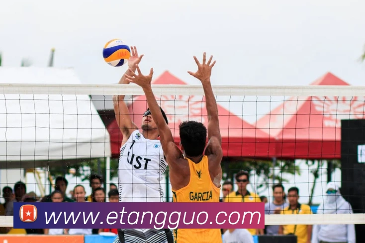 多媒体互动体验